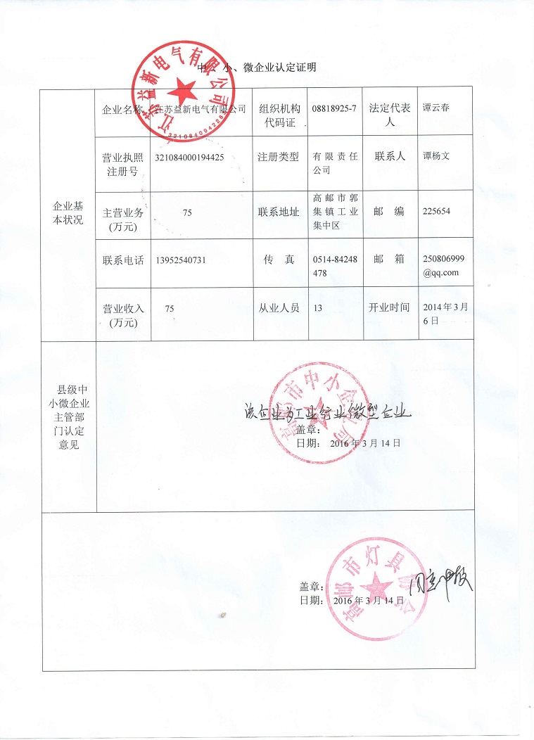 国家中小微企业认定